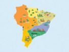 descubra-o-melhor-mes-para-conhecer-cada-regiao-do-brasil