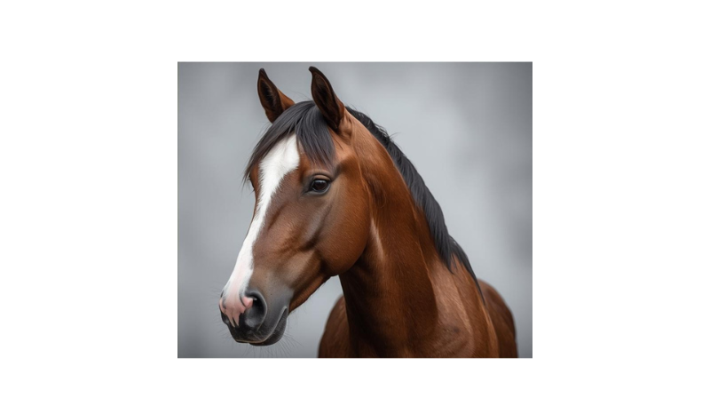 Vacinação e exames em Rio das Ostras